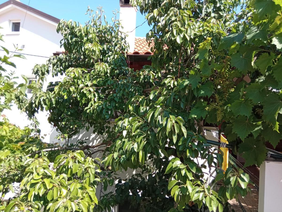 Apartments Antares Mali Losinj Luaran gambar